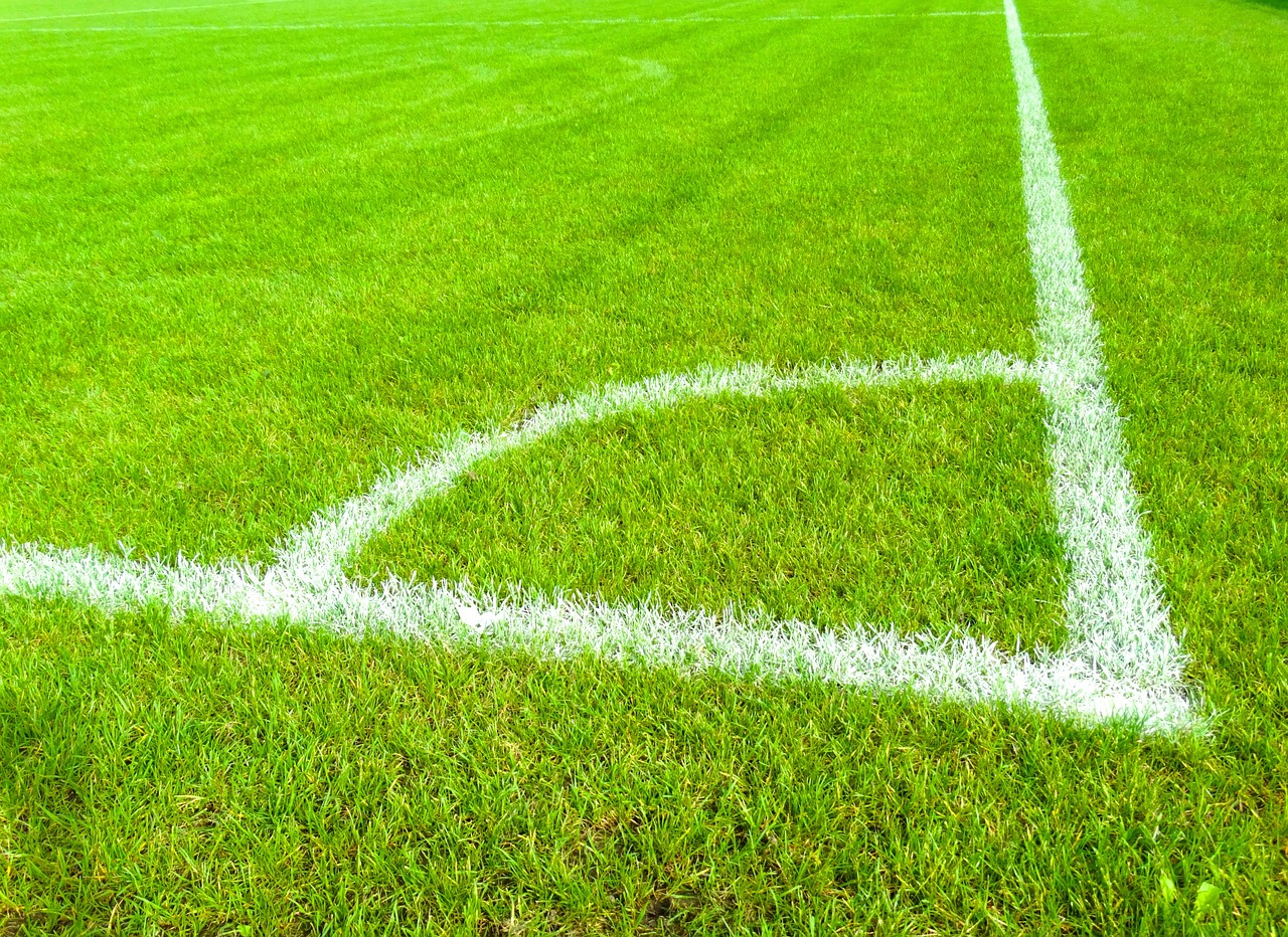 澳超战报：鲁弗、纳贾林破门，惠灵顿凤凰2-1阿德莱德联