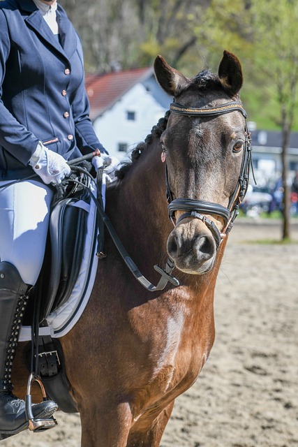 瓜迪奥拉：切尔基的天赋让人惊叹，但简单才是王道！