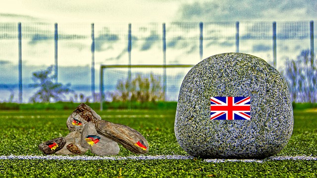 曼纳：不着急续约安古伊萨；丁丁手术成功；卢卡库几周内归队