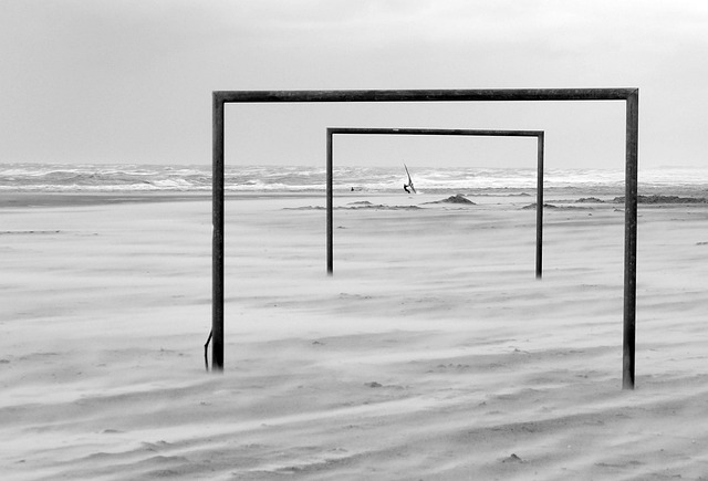 塞尔维亚队强势冲冠