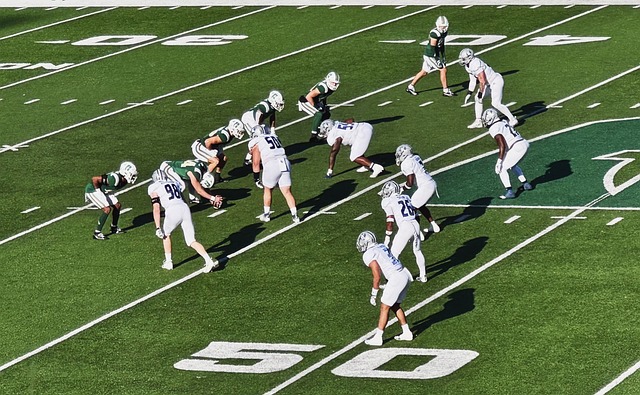 喜讯！宿茂臻将在12月9日拍板决定大牌名帅二进宫来鲁能执教，王大雷带头欢迎他入队