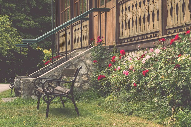 申花输球 申花输球