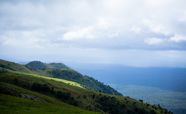 决策都可能 决策都可能