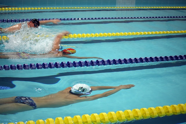 新人球員來 新人球員來