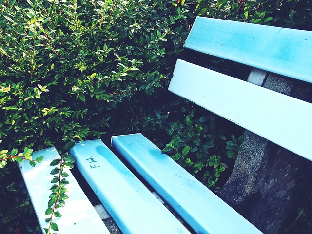 此次亚冬会 此次亚冬会