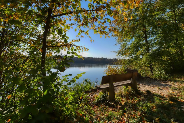 投入了大量 投入了大量