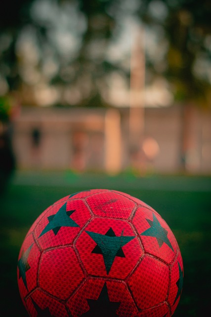 博格巴比目 博格巴比目