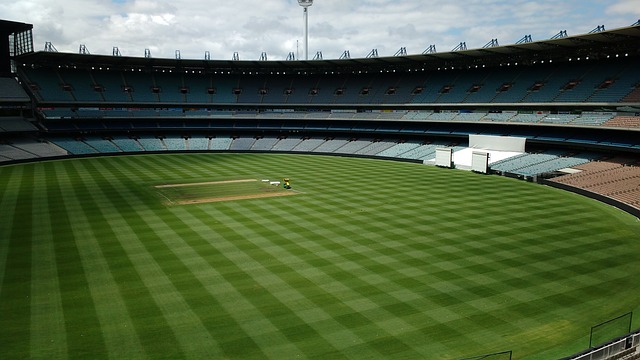 国垒球打了 国垒球打了